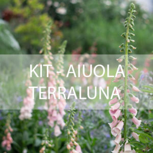 Kit aiuola