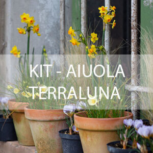 Kit aiuola